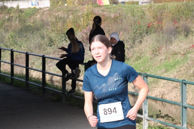 k-2024_crosscountry-land 411